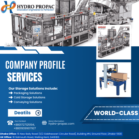 Best company profile design company in Bangladesh